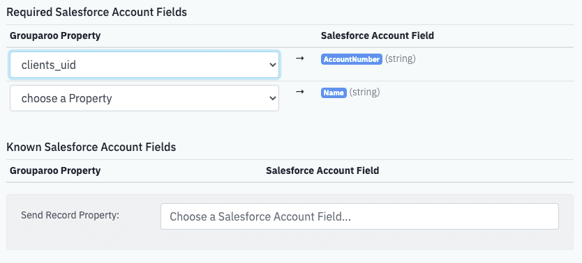 Salesforce Export Accounts Properties